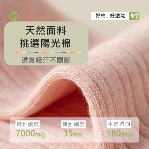 w0065 薄款刺繡蝴蝶結木耳邊堆堆棉襪.中筒襪.襪子 - 圖片 12